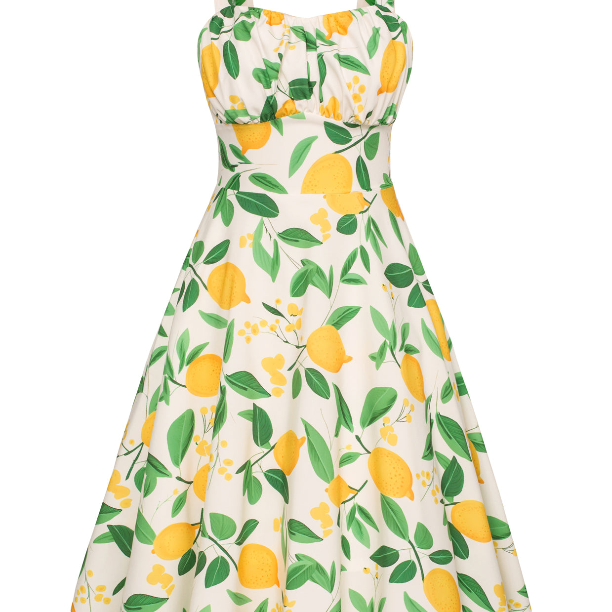 Vintage Fruit Printed Two-Way Defined Waist Dress